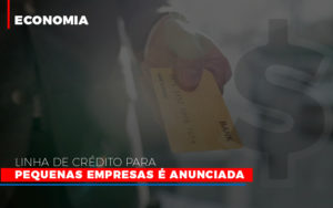 Linha De Credito Para Pequenas Para Pequenas Empresas E Anunciada - Contabilidade em Mauá | Leardini Contabilidade